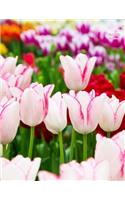 Pink Tulip Notebook: Wide-Ruled, Notebook, 110 Pages, (8.5 X 11 Inches), Large, Glossy Cover, Design Covers Front and Back