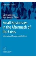 Small Businesses in the Aftermath of the Crisis