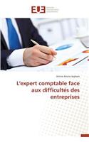 L'Expert Comptable Face Aux Difficultés Des Entreprises