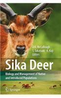 Sika Deer