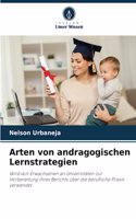 Arten von andragogischen Lernstrategien