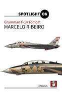 Grumman F-14 Tomcat: (Spotlight on)