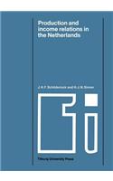 Production and Income Relations in the Netherlands