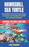 Hawksbill Sea Turtle: Everything You Need to Know About Caring for and Keeping Hawksbill Sea Turtles in Captivity