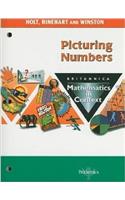 Holt Math in Context: Picturing Numbers Grade 6