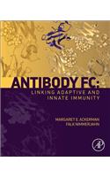 Antibody FC