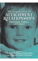 Organization of Attachment Relationships