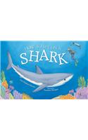 How To Spy on a Shark