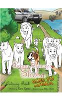 Puppy Princess Sheba Goes to Africa