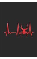 Spider Heartbeat