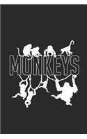 Monkey Hanging