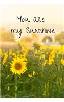 You are my Sunshine