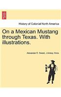 On a Mexican Mustang through Texas. With illustrations.