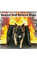 Search and Rescue Dogs 2018