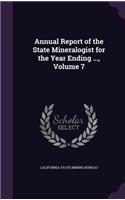 Annual Report of the State Mineralogist for the Year Ending ..., Volume 7