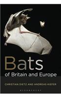 Bats of Britain and Europe