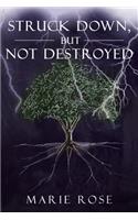 Struck Down, But Not Destroyed