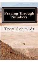 Praying Through Numbers: (Praying Through the Bible)