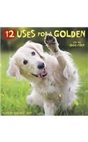 12 Uses for a Golden 2019 Wall Calendar (Dog Breed Calendar)