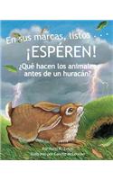 Sus Marcas, Listos... ¡Espéren! ¿Qué Hacen Los Animales Antes de Un Huracán? (Ready, Set . . . Wait! What Animals Do Before a Hurricane )