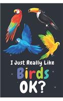 I Just Really Like Birds Ok