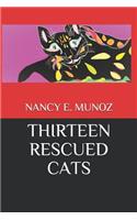 Thirteen Rescued Cats