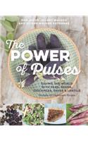 Power of Pulses
