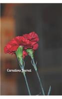 Carnations Journal