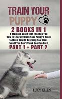 Train your Puppy