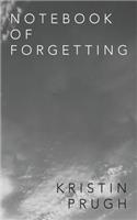 Notebook of Forgetting