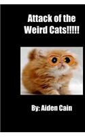 Attack of the Weird Cats