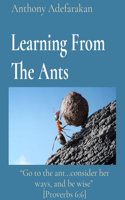Learning from the Ants: Go to the Ant...Consider Her Ways, and Be Wise [Proverbs 6