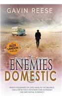 Enemies Domestic
