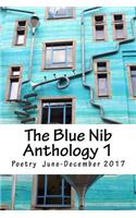 The Blue Nib Anthology 1