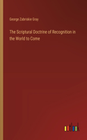 Scriptural Doctrine of Recognition in the World to Come