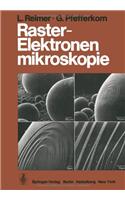 Raster-Elektronenmikroskopie