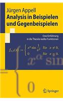 Analysis in Beispielen Und Gegenbeispielen