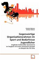Gegenwärtige Organisationsrahmen im Sport und Bedürfnisse Jugendlicher