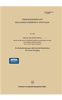 Die Drehschwingungen des Zweirad-Kettentriebes bei innerer Erregung