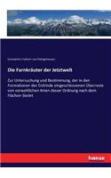 Die Farnkräuter der Jetztwelt