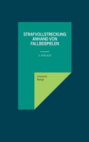 Strafvollstreckung anhand von Fallbeispielen