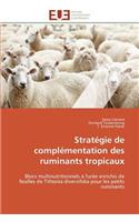 Stratégie de Complémentation Des Ruminants Tropicaux