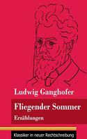 Fliegender Sommer: Erzählungen (Band 92, Klassiker in neuer Rechtschreibung)