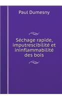 Séchage Rapide, Imputrescibilité Et Ininflammabilité Des Bois