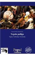 Tegula Pulligo
