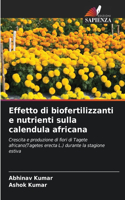 Effetto di biofertilizzanti e nutrienti sulla calendula africana