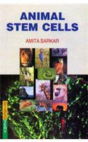 Animal Stem Cells