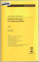 Excitonic Processes in Condensed Matter