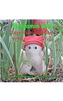 Benjamin Boo Plays Hide-and-Seek With You