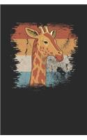 Giraffes